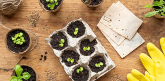 Save the Planet: 21 Earth Day Activities and Crafts for Kids